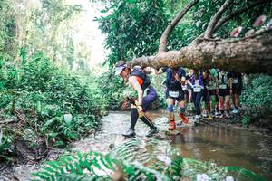 BIB: 
                            <button type="button" onclick="openModal(25472049)" class="btn btn-primary btn-sm float-right btn-popup" data-toggle="modal" data-target=".modal-high-quality">
                        <i class="fas fa-shopping-cart"></i> Add to Cart
                    </button>
                                            <button type="button" onclick="isThisMe(25472049, true)" class="btn btn-success btn-sm float-right btn-popup btn-isme hidden" data-toggle="tooltip" data-placement="bottom" title="นี่คือรูปของคุณใช่ไหม คลิกที่นี่เพื่อเอาเข้าอัลบั้ม">
                        <i class="fas fa-plus"></i> Add to album
                    </button>
                    <button type="button" onclick="isThisMe(25472049, false)" class="btn btn-warning btn-sm float-right btn-popup btn-isnotme hidden">
                        <i class="fas fa-ban"></i> Remove from album
                    </button>